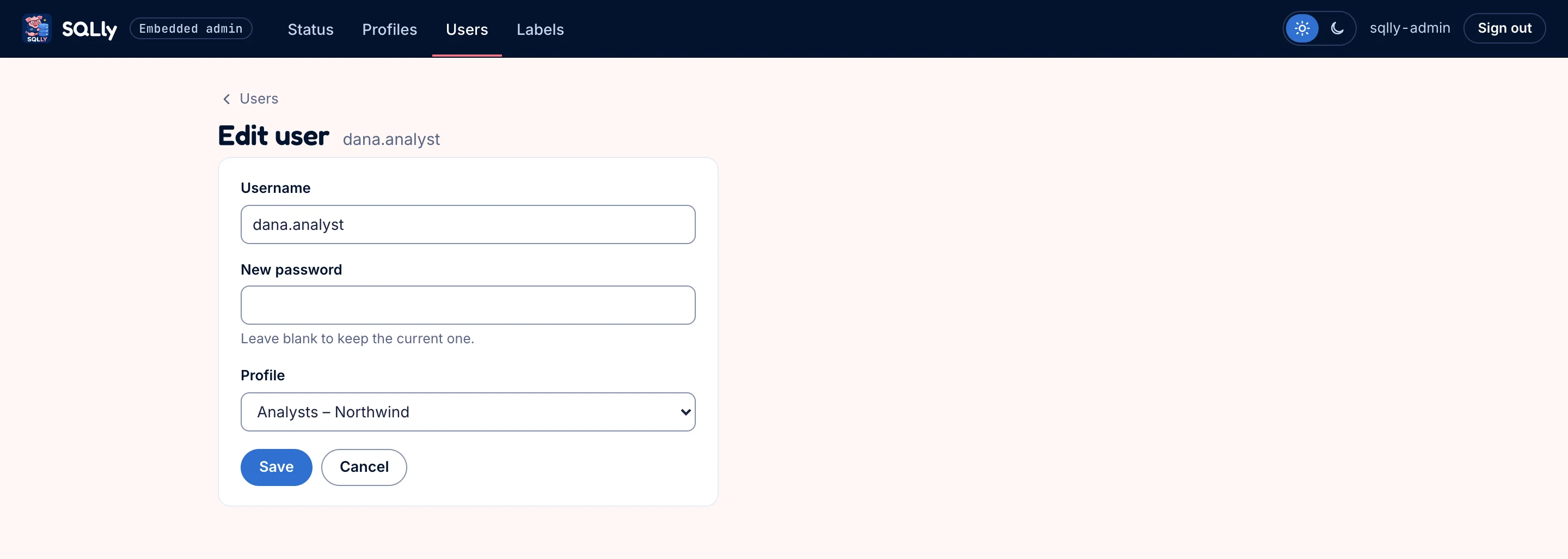 Edit user form for dana.analyst with username, new password and profile fields