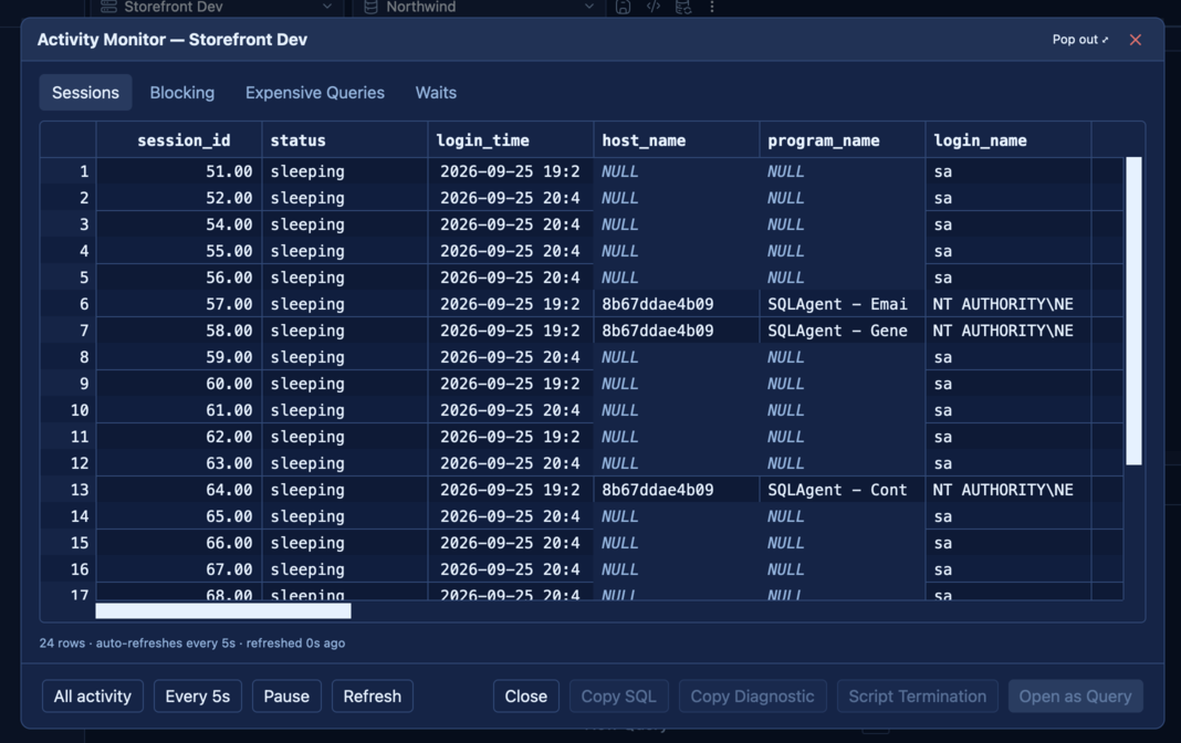 SQLly Activity Monitor sessions grid